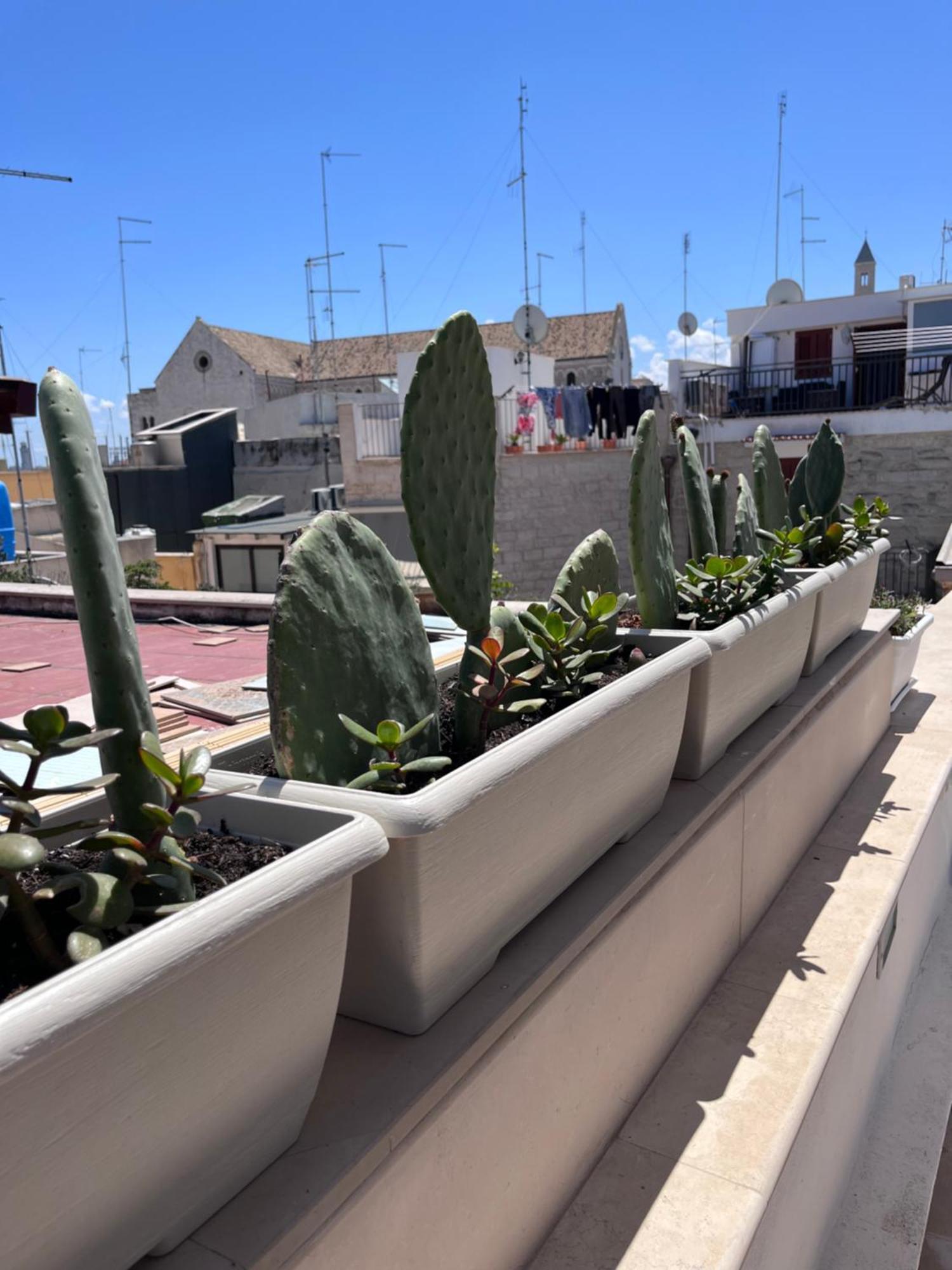 Вилла Casa Franca - Terracielo A Bari Vecchia Экстерьер фото